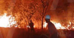 Vinculado por incendiar un terreno frutal en Oxkutzcab